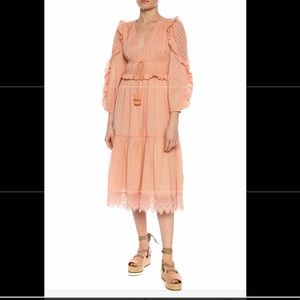 Ulla Johnson pink embroidered long dress